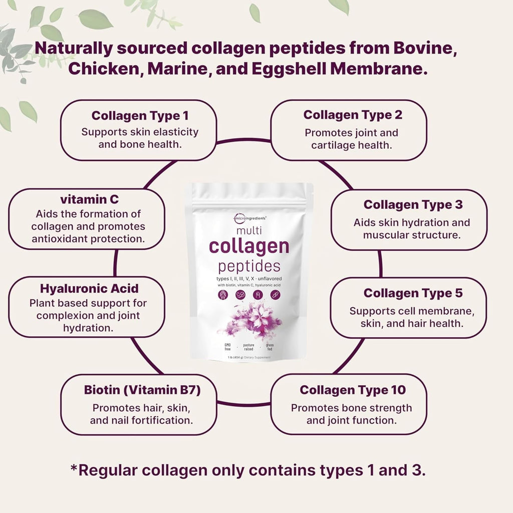 Micro Ingredients Multi Collagen Protein Powder, 1lb | Type I,II,III,V,X with Biotin, Hyaluronic Acid, Vitamin C - Unflavored Collagen Peptides
