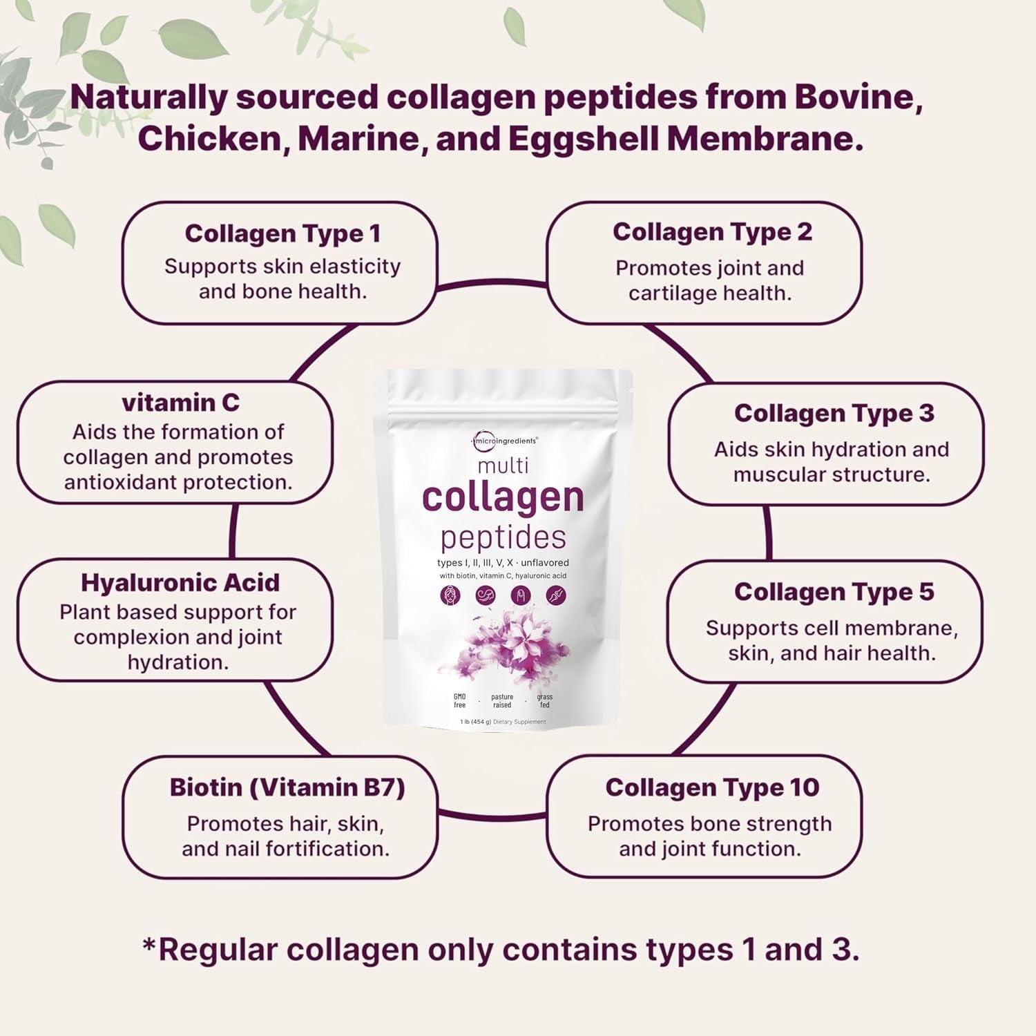 Micro Ingredients Multi Collagen Protein Powder, 1lb | Type I,II,III,V,X with Biotin, Hyaluronic Acid, Vitamin C - Unflavored Collagen Peptides